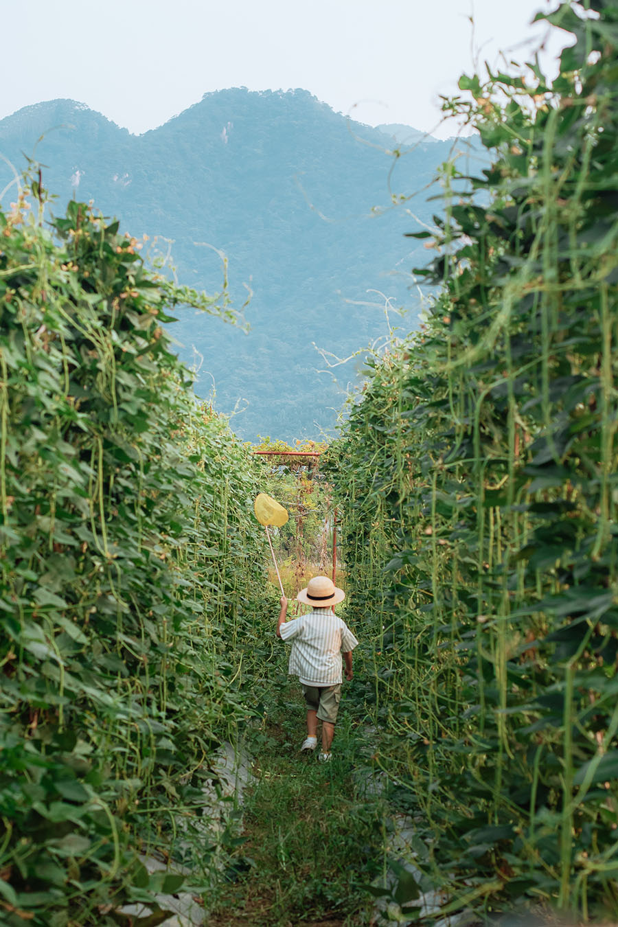 1688520988709800.jpg IMG_3444.jpg