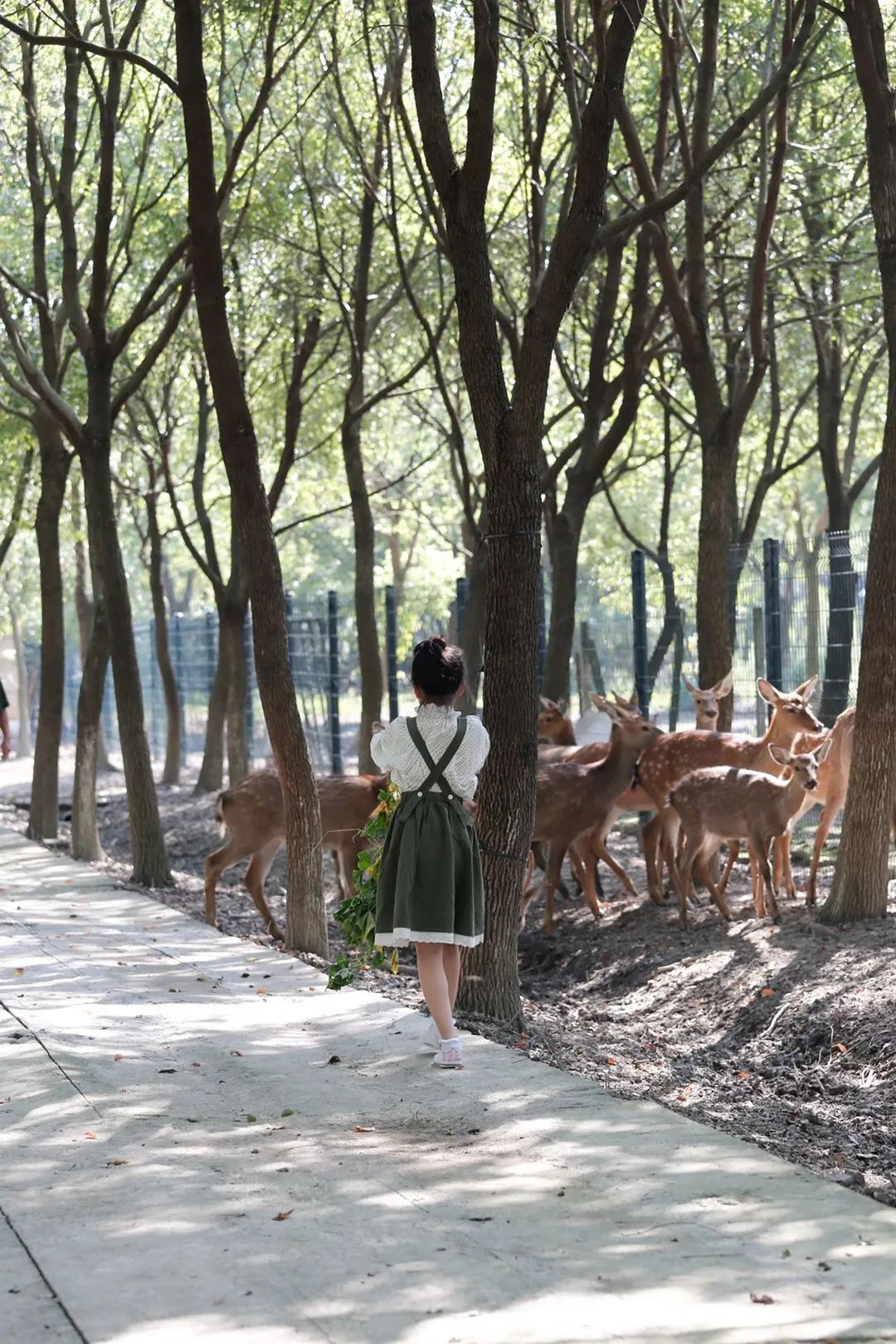 1688550277875706.jpg 微信圖片_20230705173942.jpg