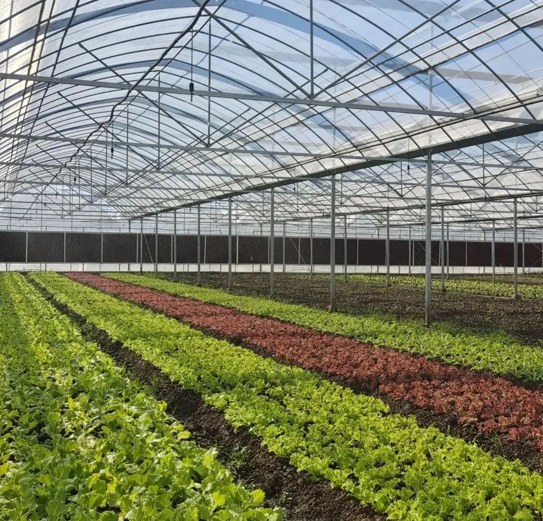 1688691675678218.jpg 微信圖片_20230706165637.jpg