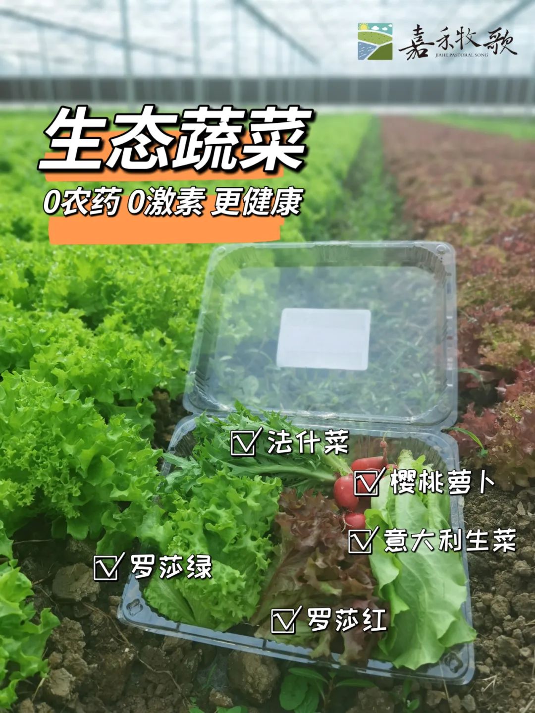 1688693013761832.jpg 微信圖片_20230707090635.jpg