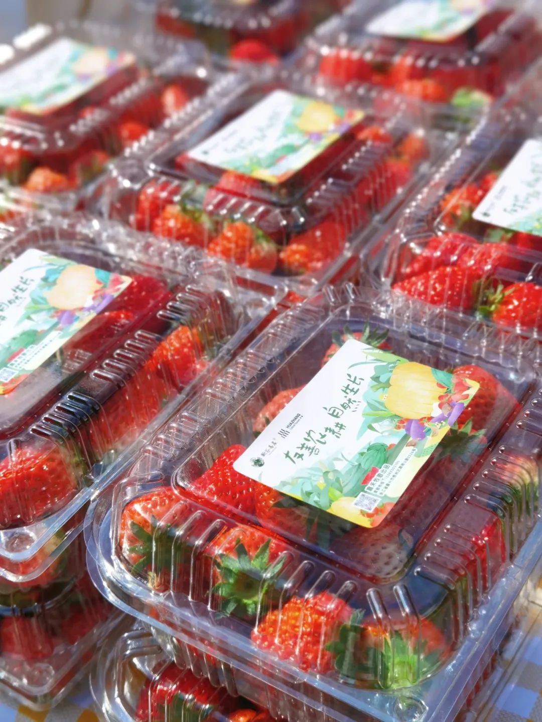 1688697449595790.jpg 微信圖片_20230707103115.jpg