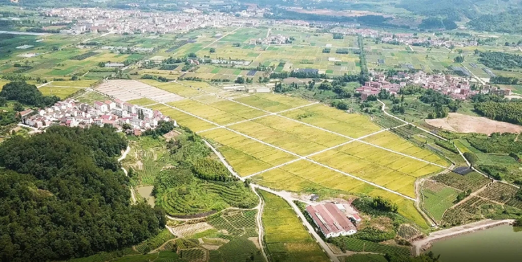 1688715398113712.jpg 20230626133eee4654455a7a7138a35b0b323ea6.webp.jpg