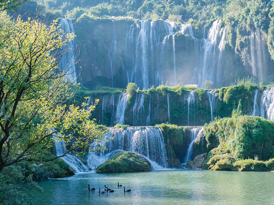 1688967090168725.jpg 03.jpg