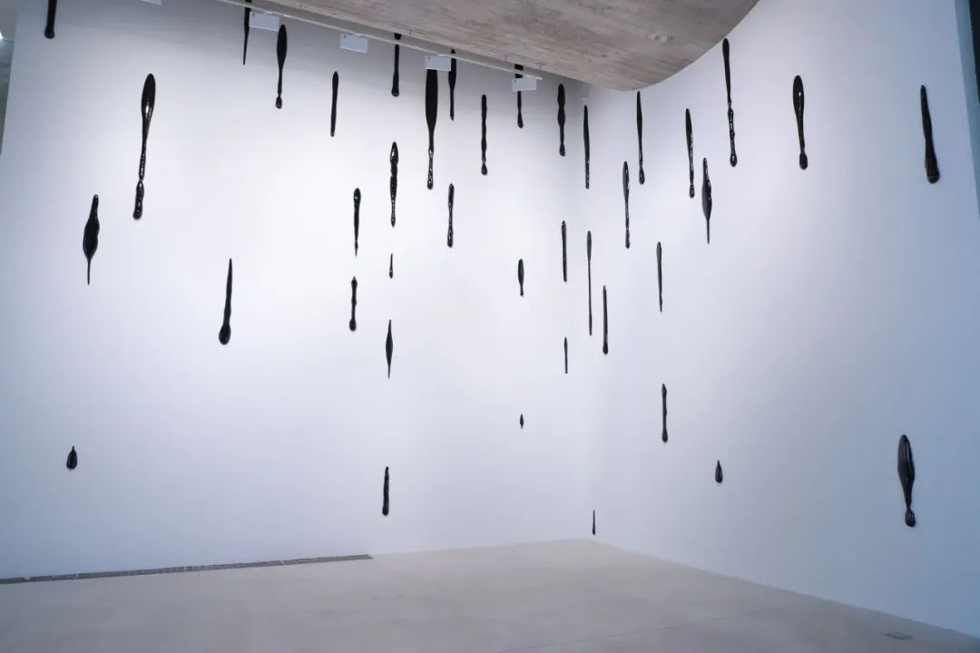 1709084848595473.jpg 640 (8).jpg