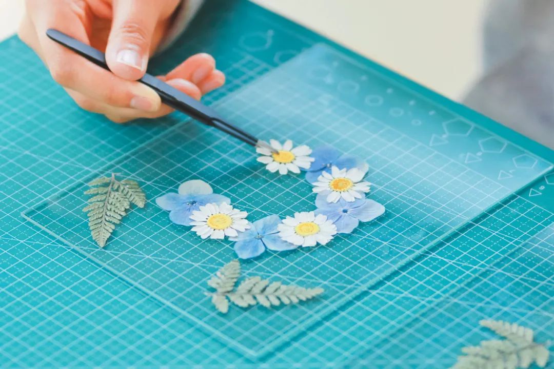 1710307924522396.jpg 640 (6).jpg