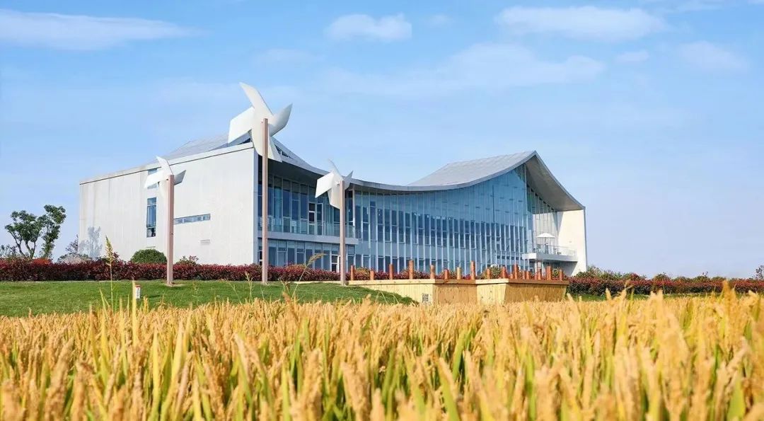 1711954910379561.jpg 640 (2).jpg