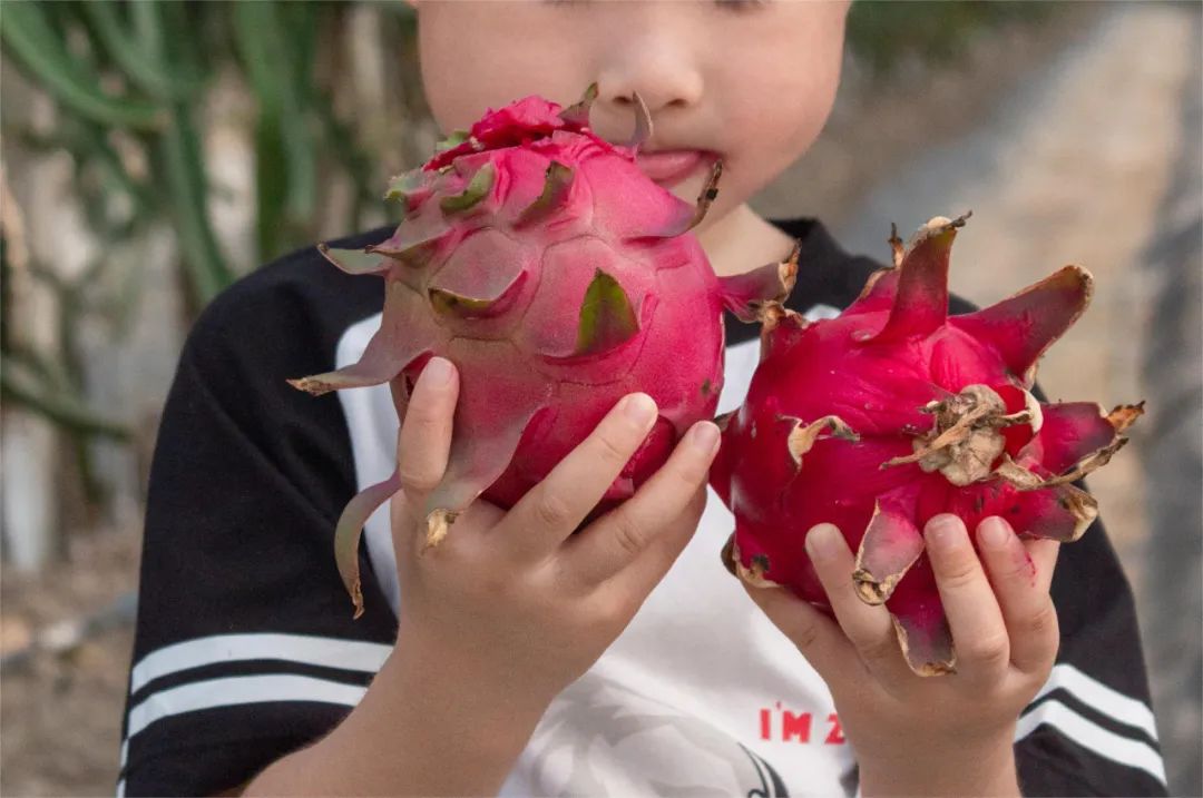 1711956519706143.jpg 640 (5).jpg