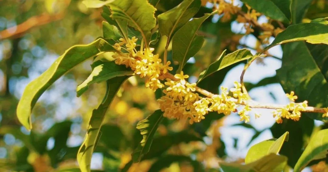 1712538004835991.jpg 640 (7).jpg