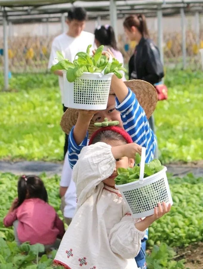 1712538094364529.jpg 640 (8).jpg