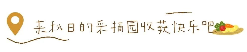 1712539080603066.jpg 640.jpg