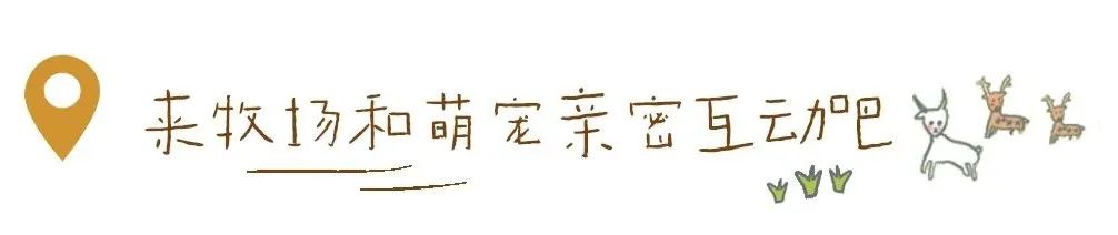 1712540182344698.jpg 640 (5).jpg