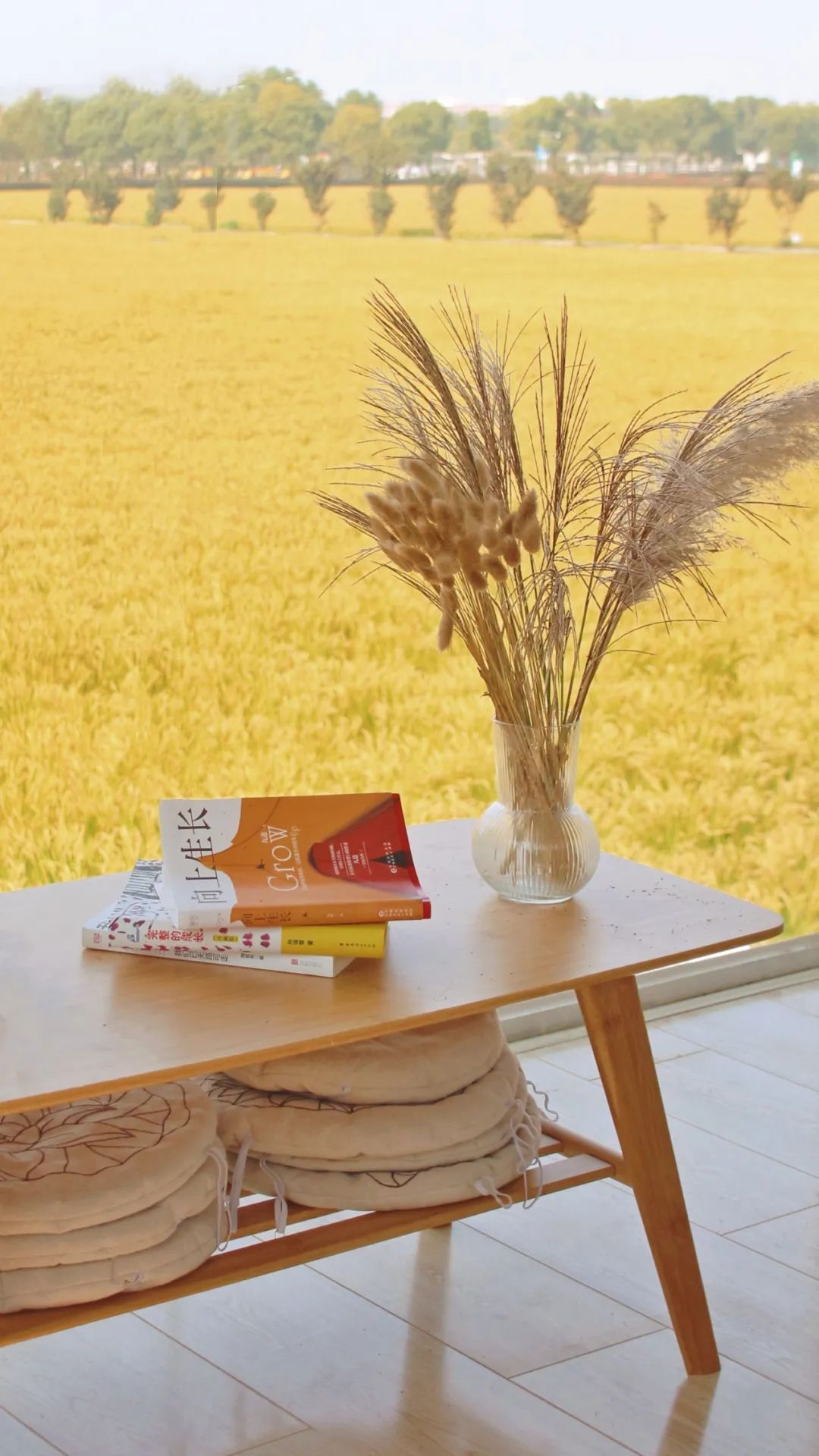 1712540922736512.jpg 640 (9).jpg