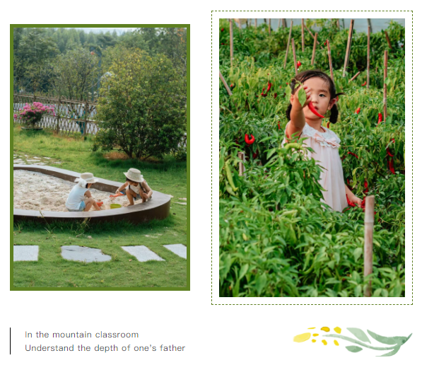 1750140683953295.png QQ20250617-141102.png